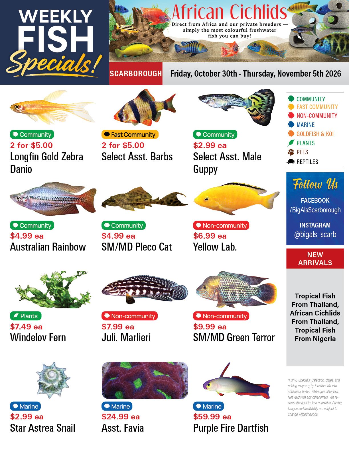 Big Al's (Scarborough) Weekly Specials October 30 to November 5