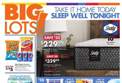 Big Lots Weekly Ad July 25 to August 1