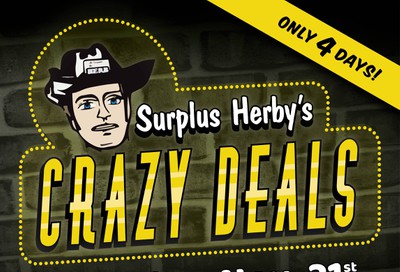 Surplus Herby's Flyer November 21 to 24