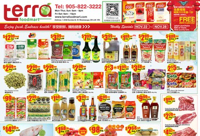 Terra Foodmart Flyer November 22 to 28