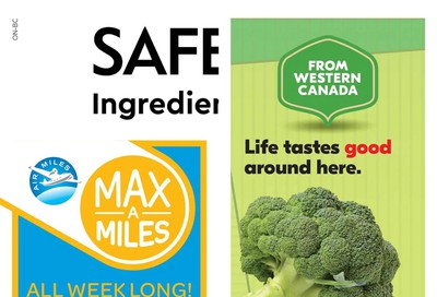 Safeway (BC) Flyer August 13 to 19