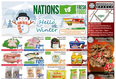 Nations Fresh Foods (Mississauga) Flyer November 22 to 28