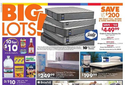 Big Lots Weekly Ad August 15 to August 22