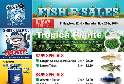 Big Al's (Ottawa East) Weekly Specials November 22 to 28