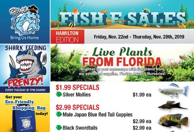 Big Al's (Hamilton) Weekly Specials November 22 to 28