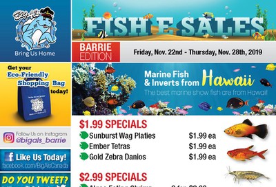 Big Al's (Barrie) Weekly Specials November 22 to 28