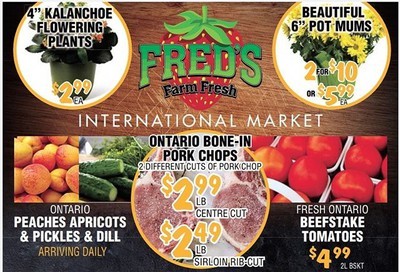 Fred's Farm Fresh Flyer August 12 to 18