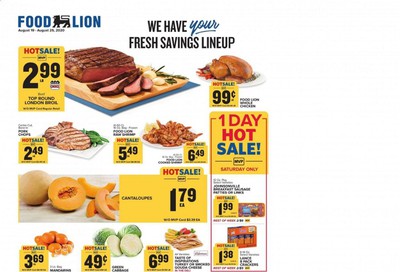 Food Lion (NC) Weekly Ad August 19 to August 25