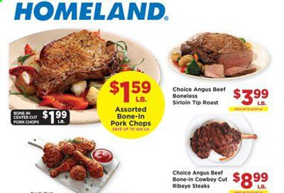 Homeland Weekly Ad August 26 to September 1