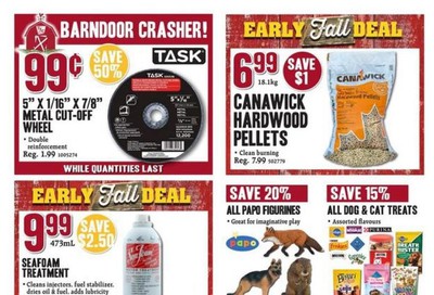 TSC Stores Flyer August 27 to September 2