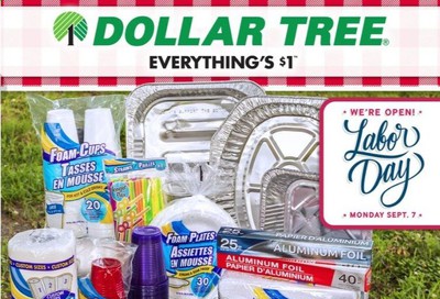 Dollar Tree Weekly Ad August 30 to September 7