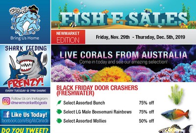 Big Al's (Newmarket) Weekly Specials November 29 to December 5
