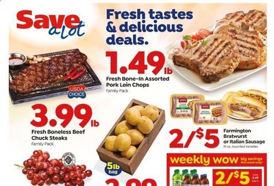 Save a Lot Weekly Ad September 9 to September 15