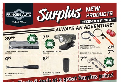 Princess Auto New Surplus Items Flyer December 1 to 31