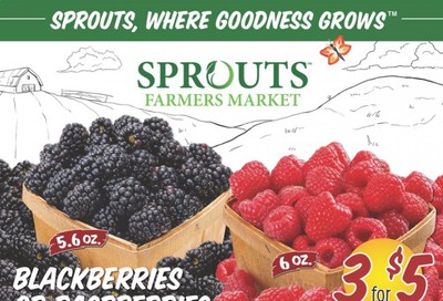 Sprouts Weekly Ad September 16 to September 22