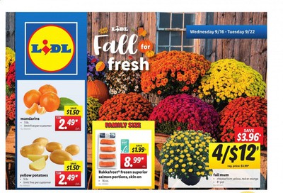 Lidl Weekly Ad September 16 to September 22