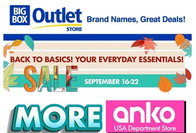 Big Box Outlet Store Flyer September 16 to 22