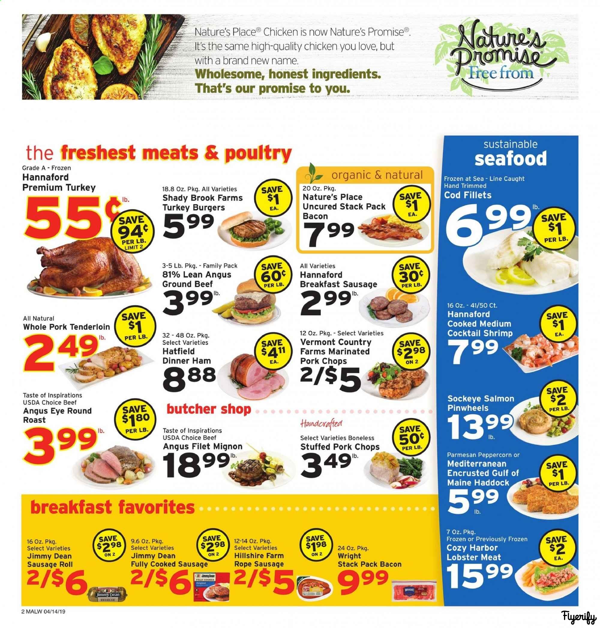 Hannaford Flyer - 14zojb8