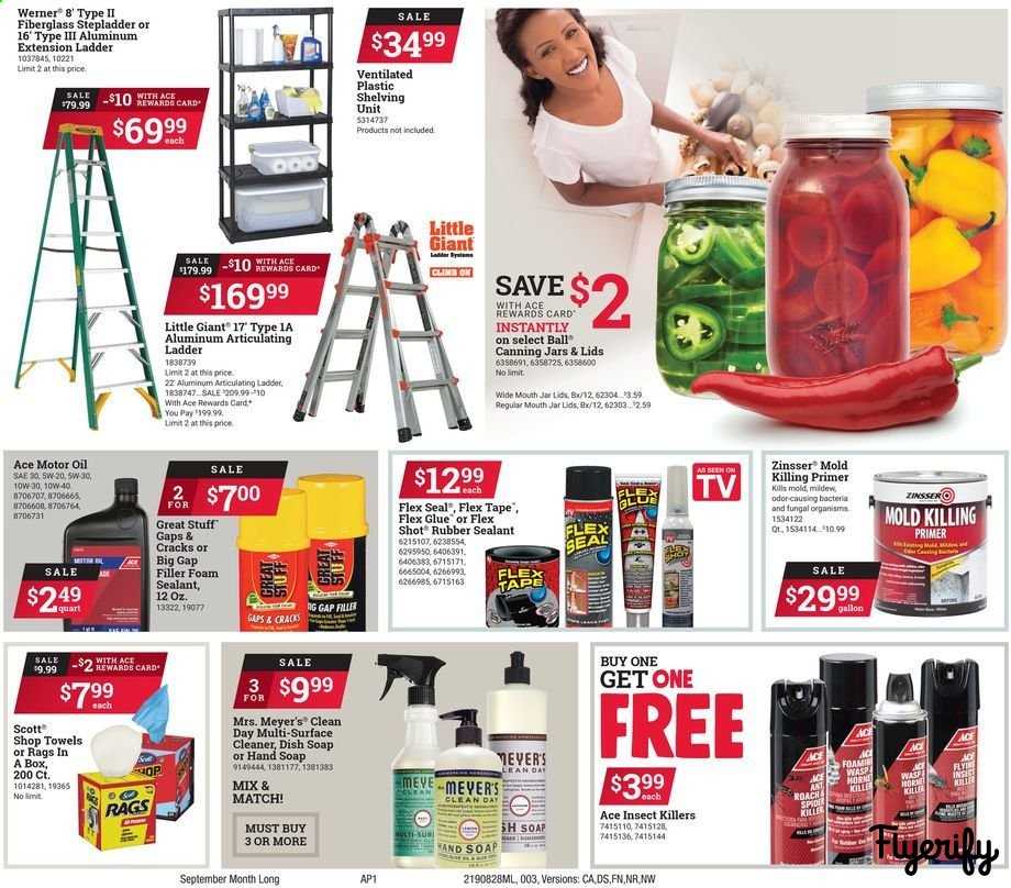 ACE Hardware Weekly Ad & Flyer August 28 to September 30 Canada