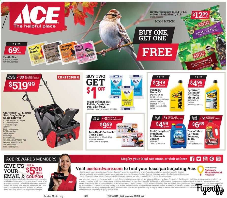 ACE Hardware Weekly Ad & Flyer October 1 to 31 Canada