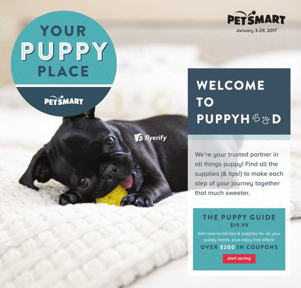 petsmart puppy guide