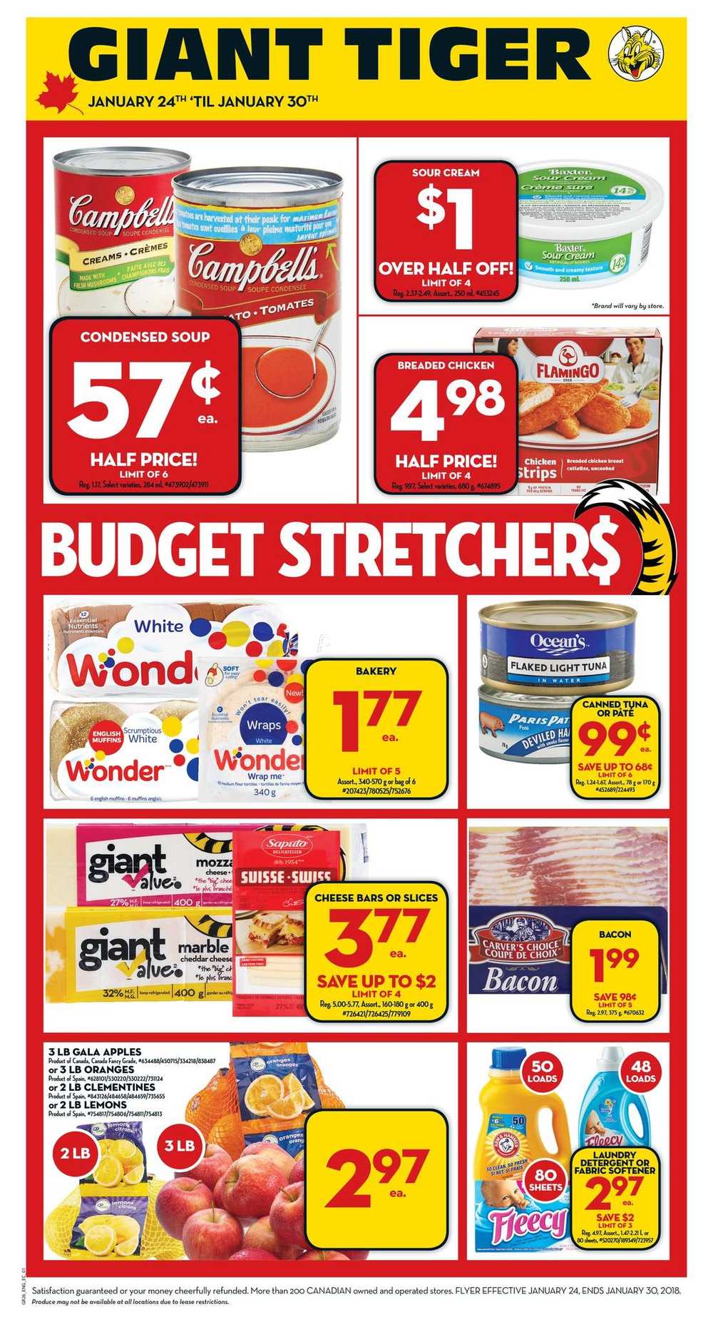 Giant Tiger (Atlantic) Flyer January 24 to 30 Canada